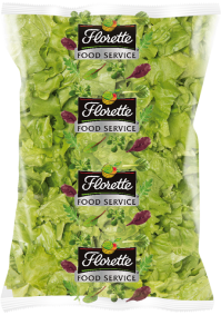 ENSALADA BATAVIA 500GR