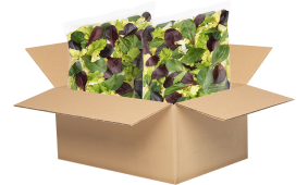 ENSALADA MIXTURA