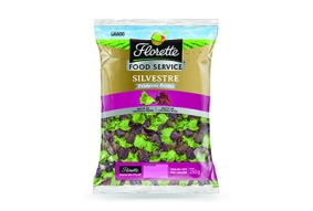 ENSALADA SILVESTRE