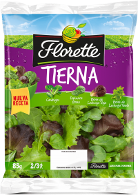 ENSALADA MEZCLA TIERNA