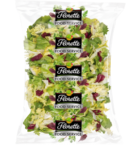 ENSALADA VARIADA HORECA