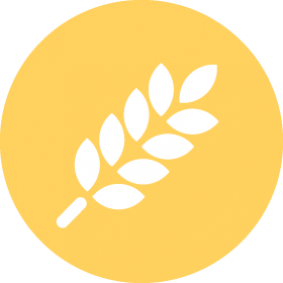 Gluten