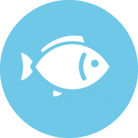 Pescado