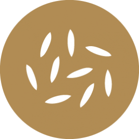 Sésamo