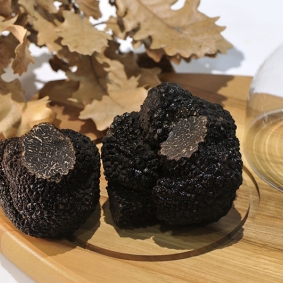 El diamante negro llega a Ibiza